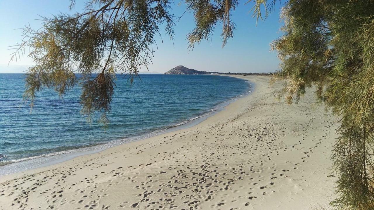 Naxos Is The Way Daire Kastrákion Dış mekan fotoğraf